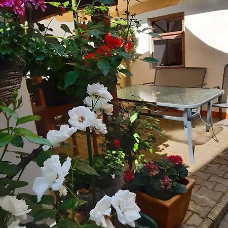 U Pani Malirky Appartement Valtice Buitenkant foto