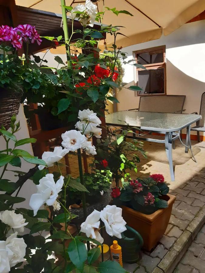 U Pani Malirky Appartement Valtice Buitenkant foto