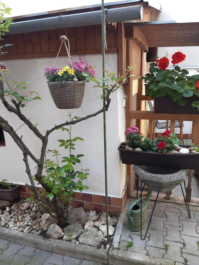 U Pani Malirky Appartement Valtice Buitenkant foto
